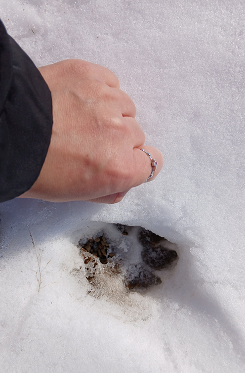 스크린샷 2025-11-06 114051.png