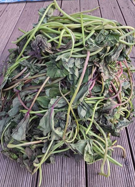 스크린샷 2025-11-12 153215.png