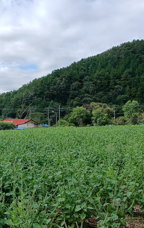 스크린샷 2025-09-25 112216.png