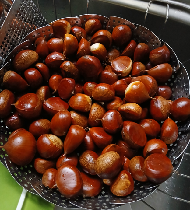 스크린샷 2025-09-25 110819.png