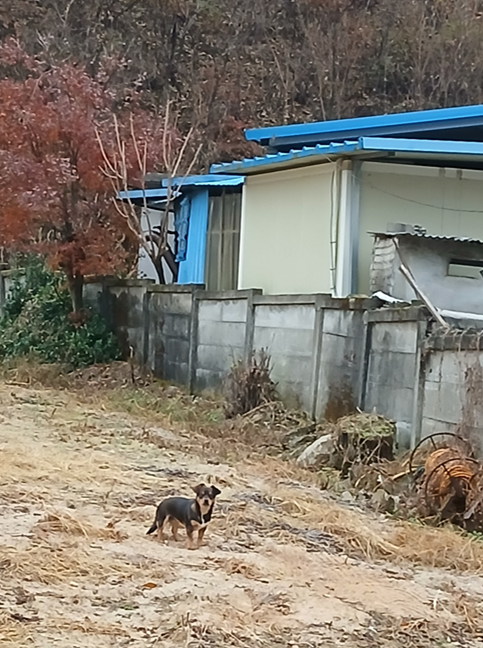 스크린샷 2025-11-13 075726.png