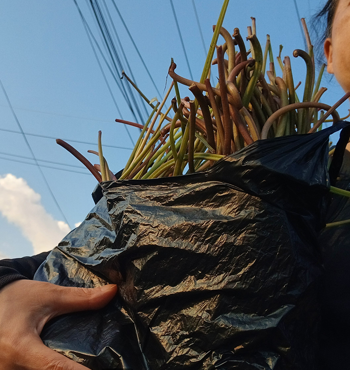 스크린샷 2025-11-06 114017.png