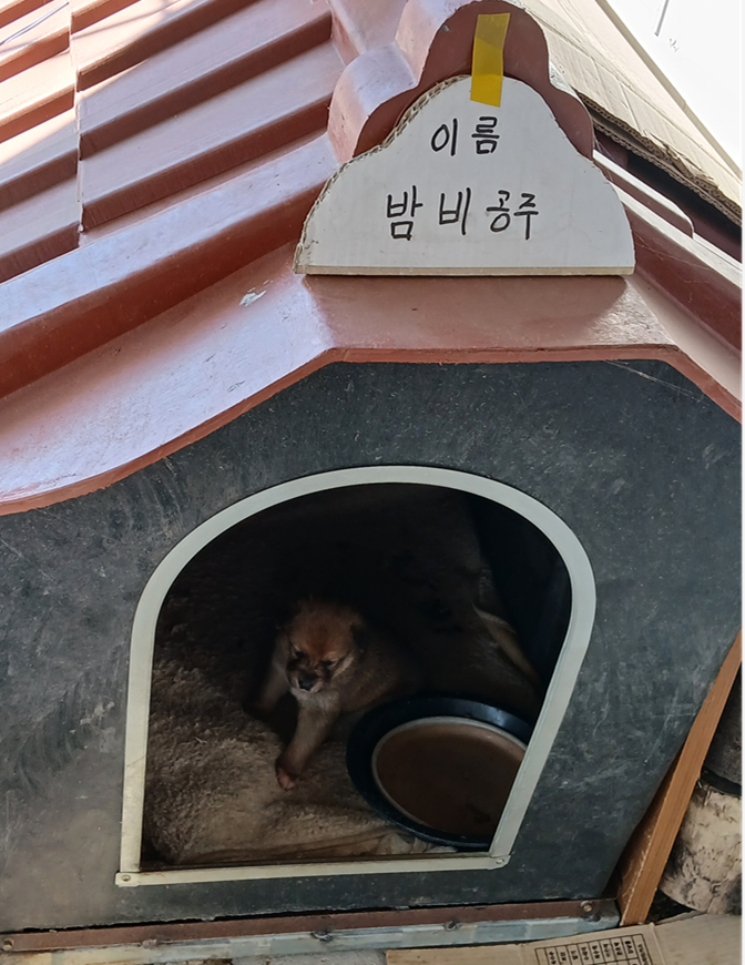 스크린샷 2025-11-12 140945.png