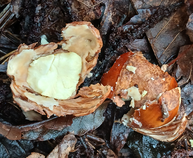 스크린샷 2025-09-25 105527.png