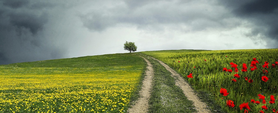 스크린샷 2023-07-05 151204.png