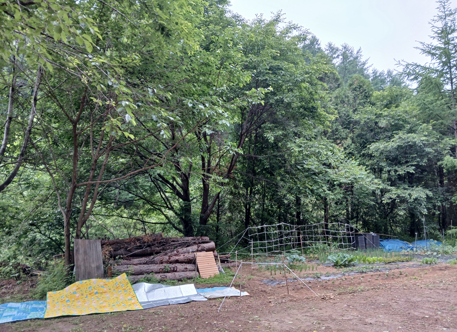 스크린샷 2025-09-14 132052.png