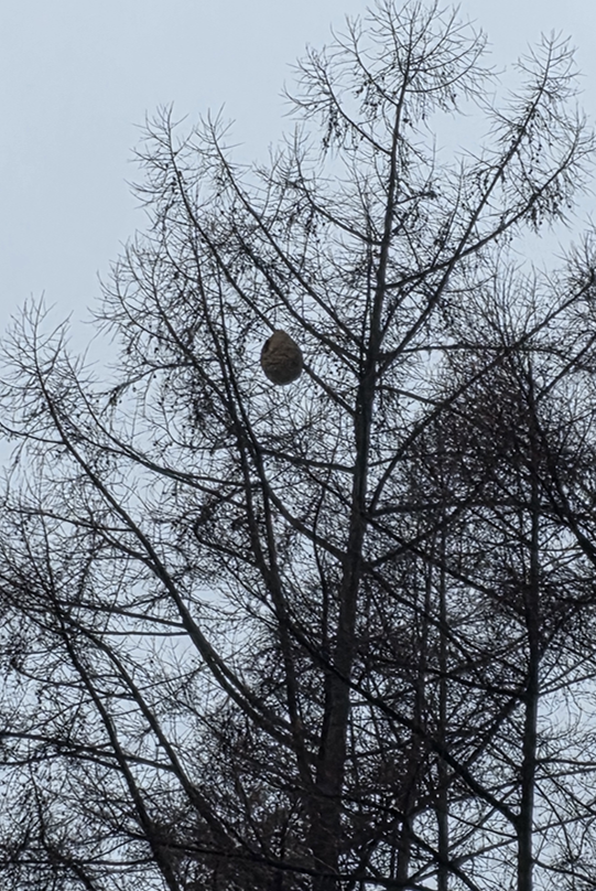 스크린샷 2025-12-11 080731.png