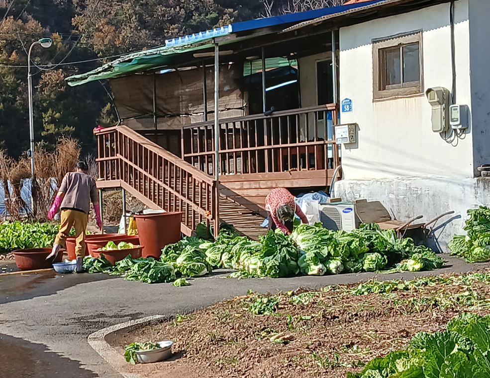 스크린샷 2025-11-12 152643.png