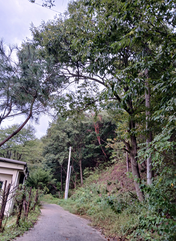 스크린샷 2025-10-23 103232.png