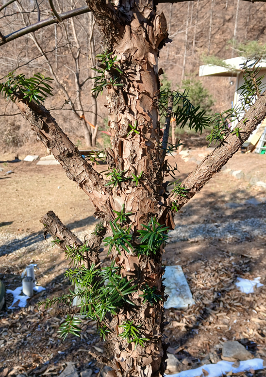 스크린샷 2025-10-30 182727.png