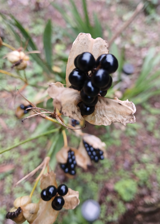 스크린샷 2025-10-15 202549.png