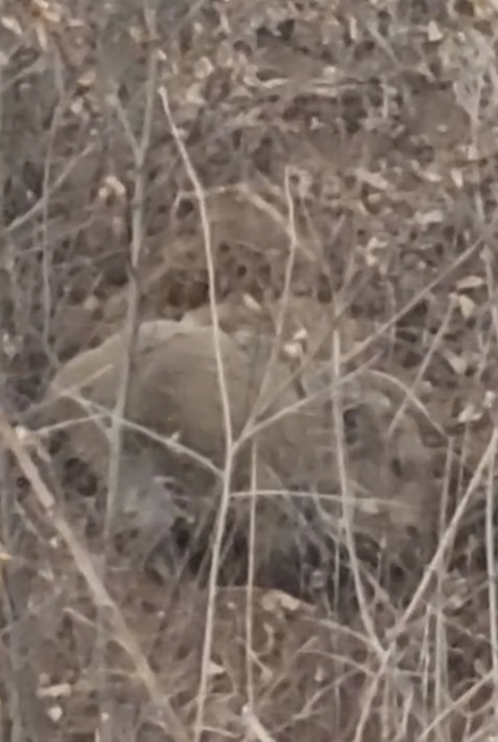 스크린샷 2025-11-06 144811.png