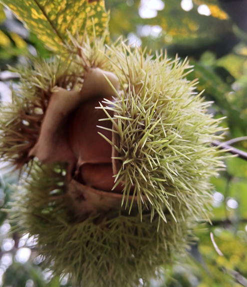 스크린샷 2025-09-25 105513.png