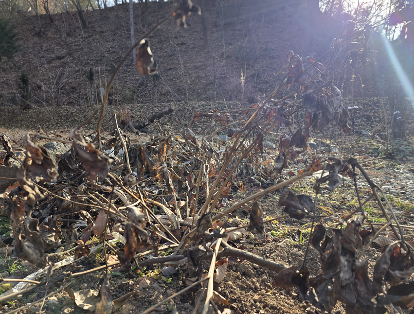 스크린샷 2025-12-03 102556.png