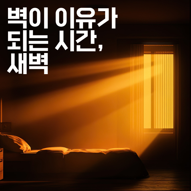 프리미엄 썸네일(작은) (96).png