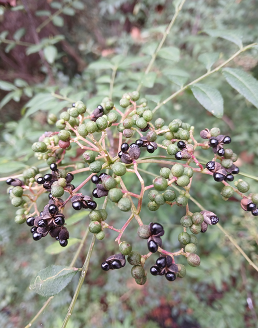 스크린샷 2025-09-14 132007.png