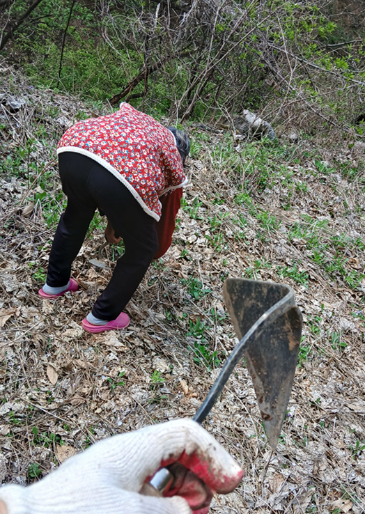 스크린샷 2025-12-10 180504.png