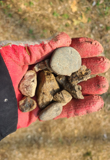 스크린샷 2025-10-16 125308.png