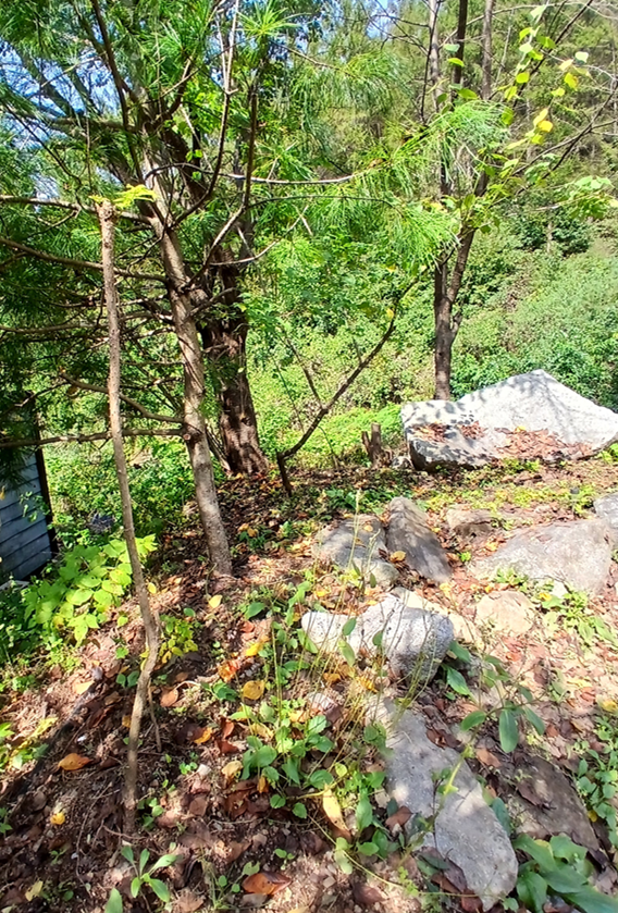 스크린샷 2025-10-02 144943.png