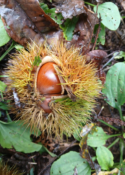 스크린샷 2025-09-14 122439.png