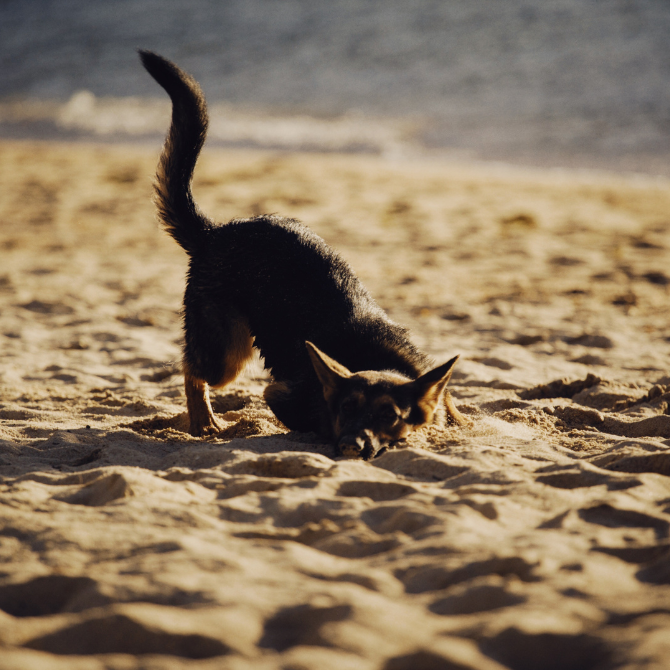 프리미엄 썸네일(작은) (10).png