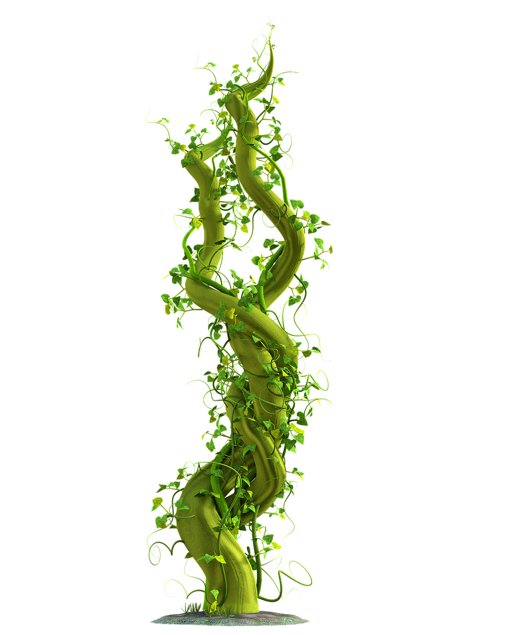 tendril-5123703_1280.png