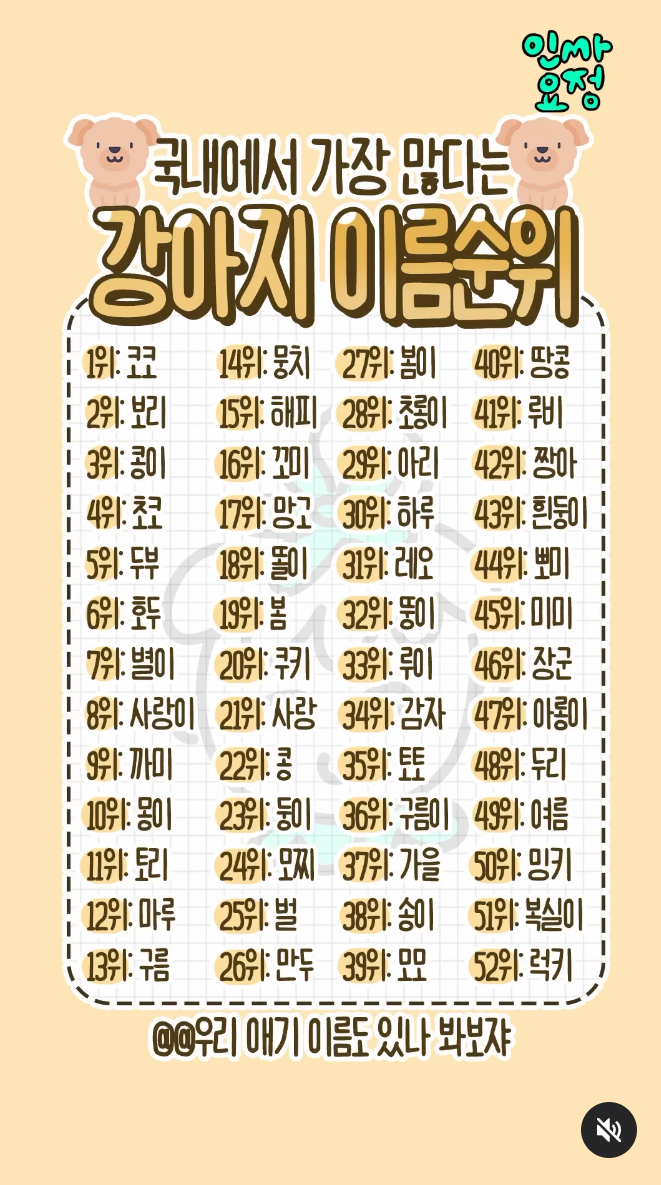 스크린샷 2025-05-25 223519.png