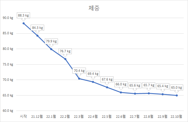 월별 체중 변화.png