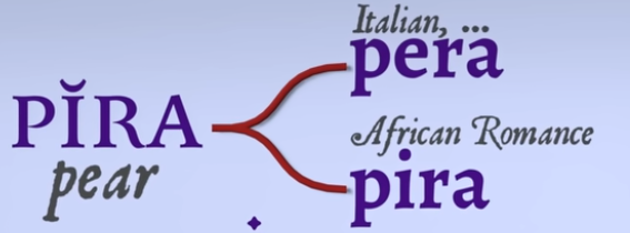 스크린샷 2024-07-28 120039.png