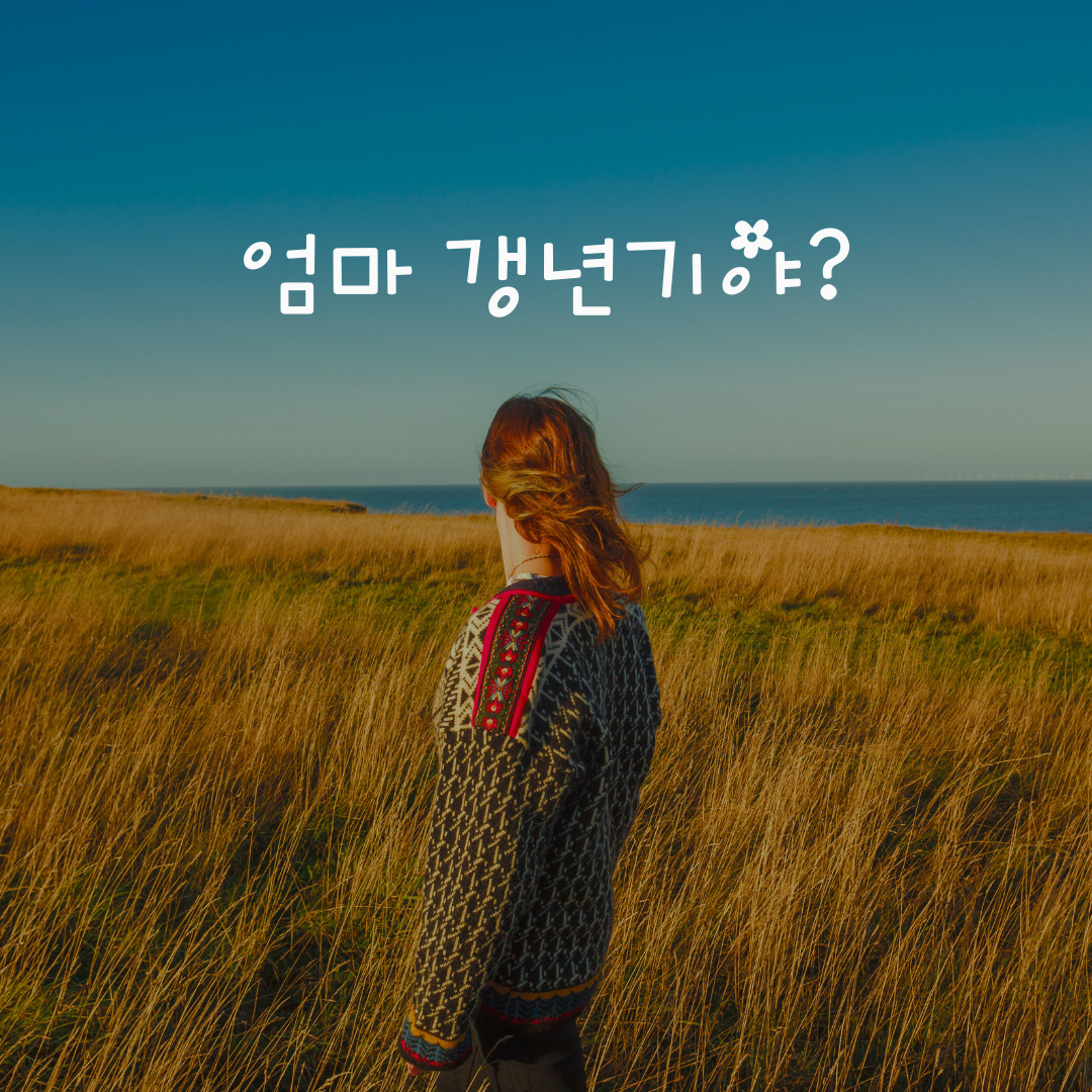 탐험 지평선 인스타그램 게시물.png