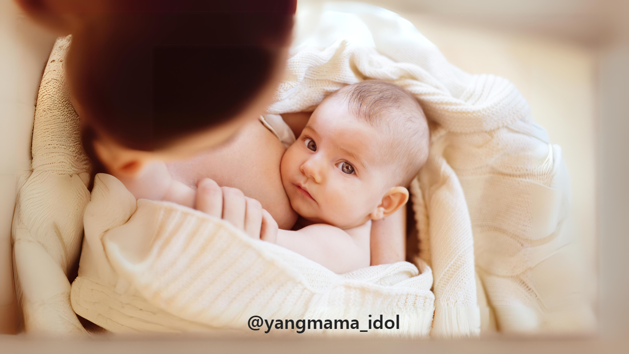 브런치 사진 (7).png