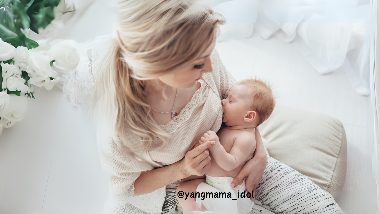 브런치 사진 (70).png