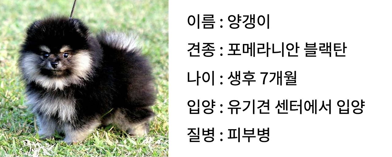 스크린샷 2022-09-13 오후 3.27.57.png