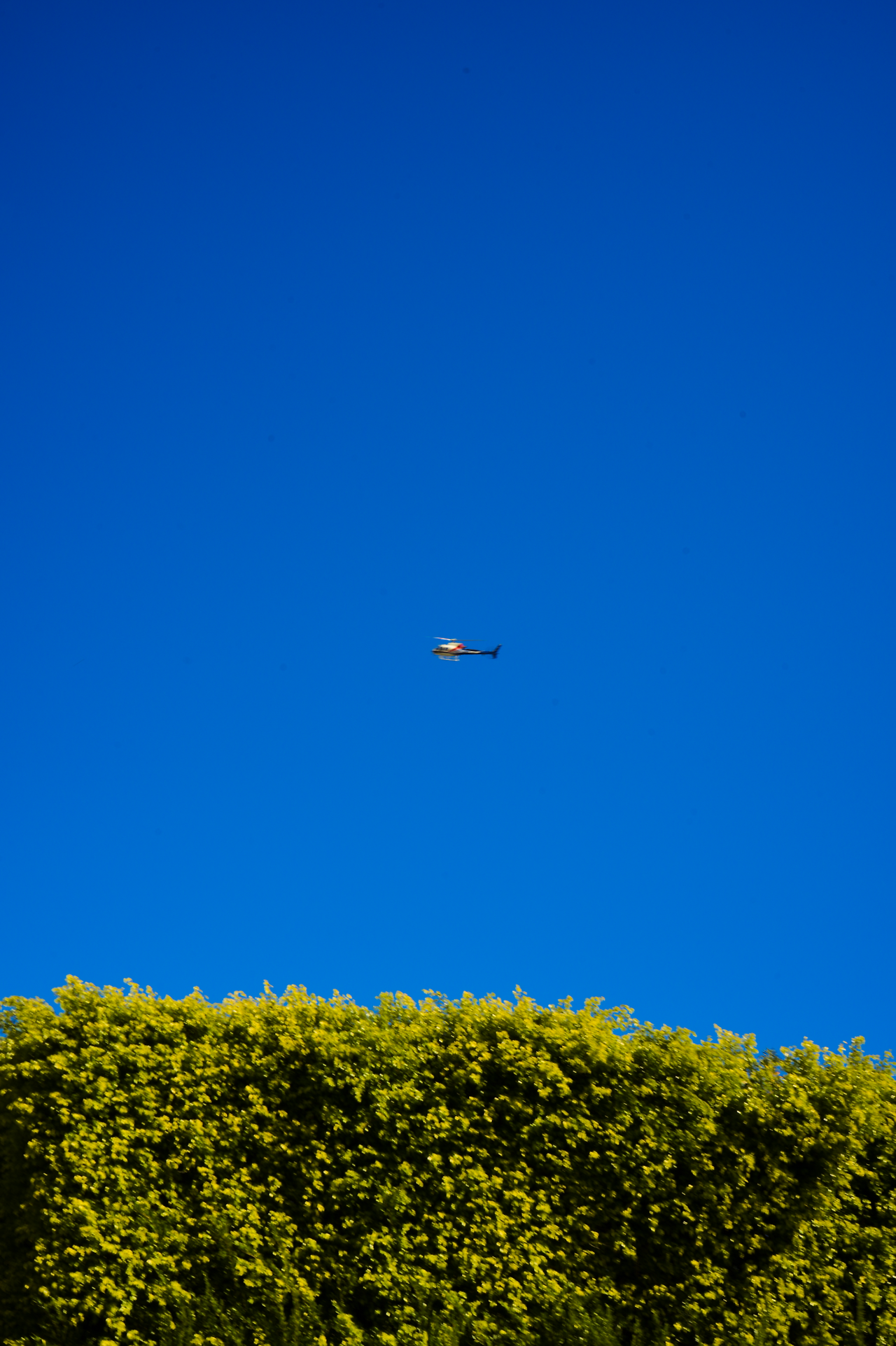 스크린샷 2024-10-11 18.38.13.png