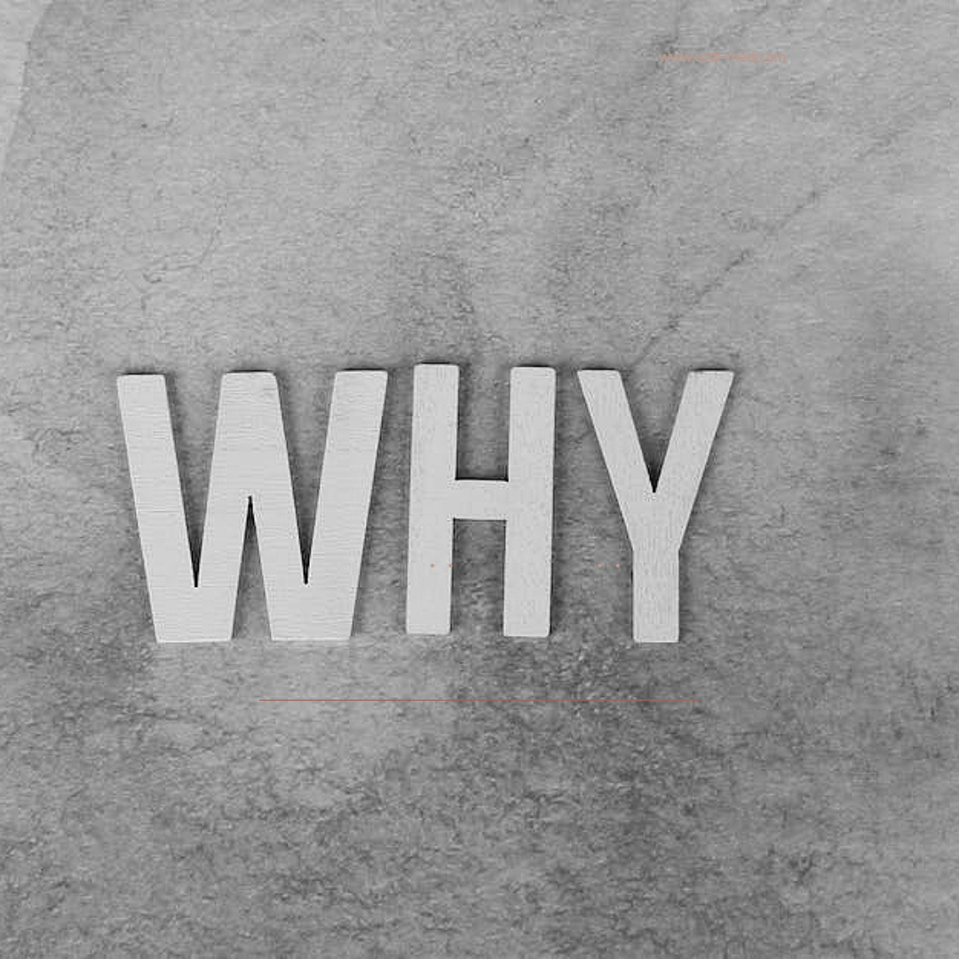 제목을 입력해주세요_-001 (8).png