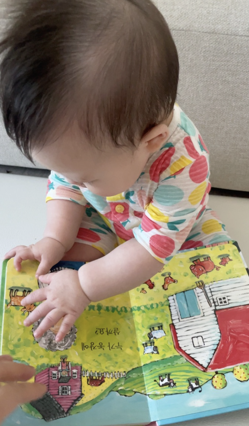 둘째9개월_책놀감3.png