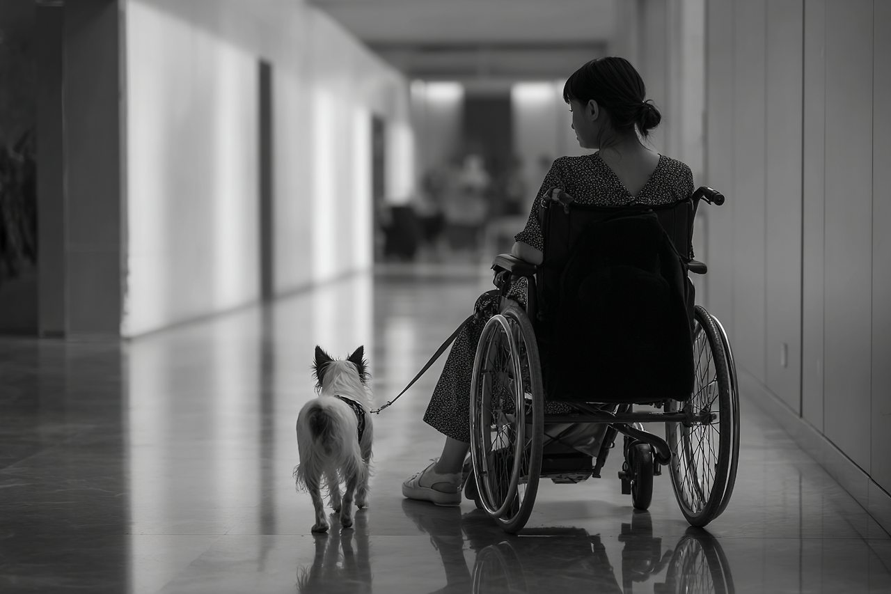 휠체어 외출_01.png