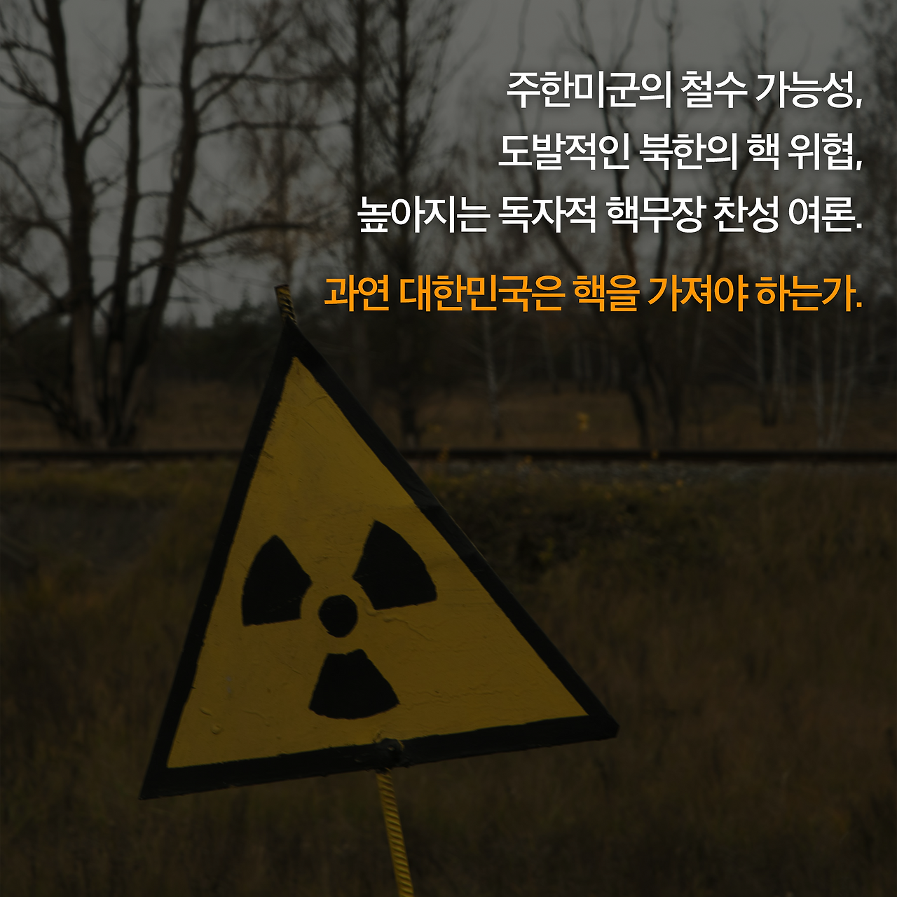 무궁화꽃이 피었습니다_사진형 카드뉴스_시나리오1_6.png