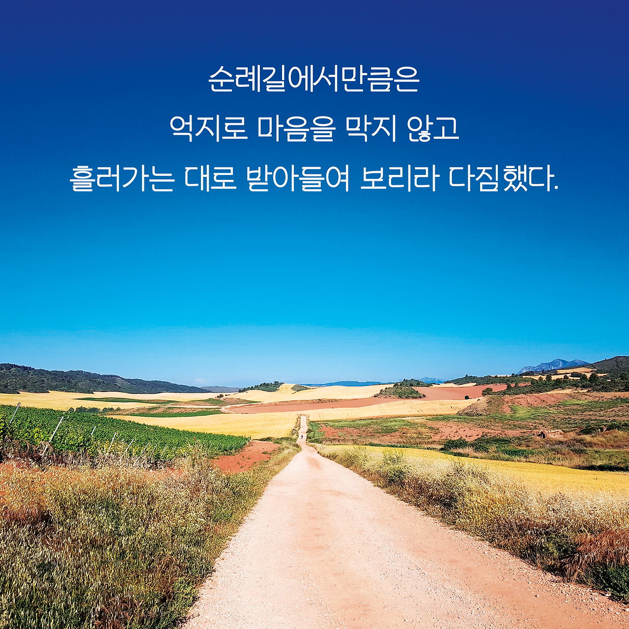 산티아고_사진형 카드뉴스_시나리오2_8.png