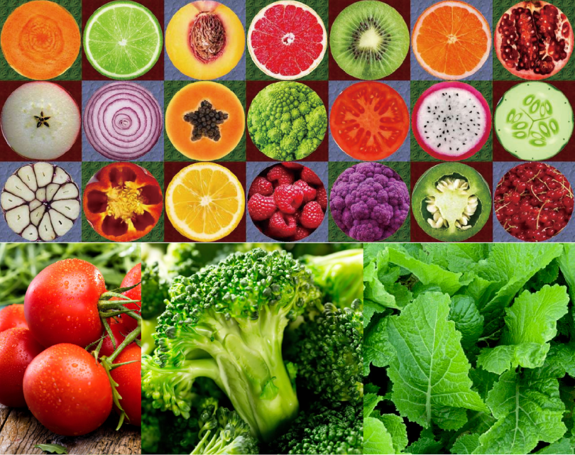 1 콘셉트.png