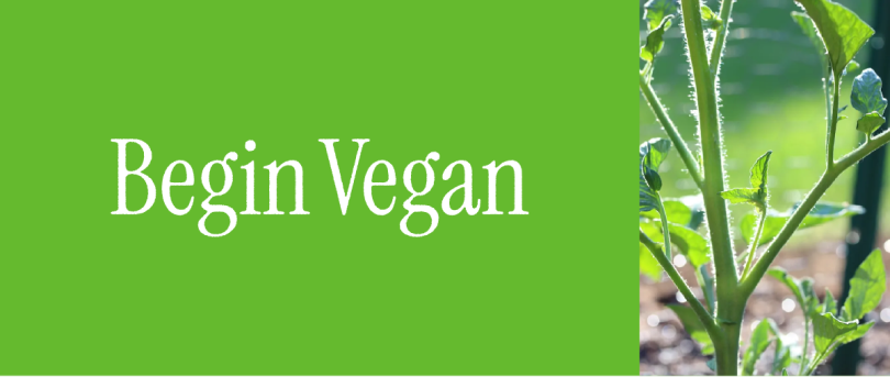 2 타이틀.png