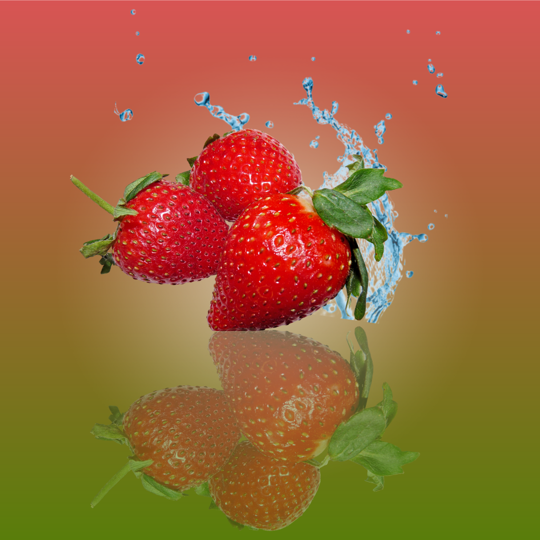 제목 없는 디자인 (38).png