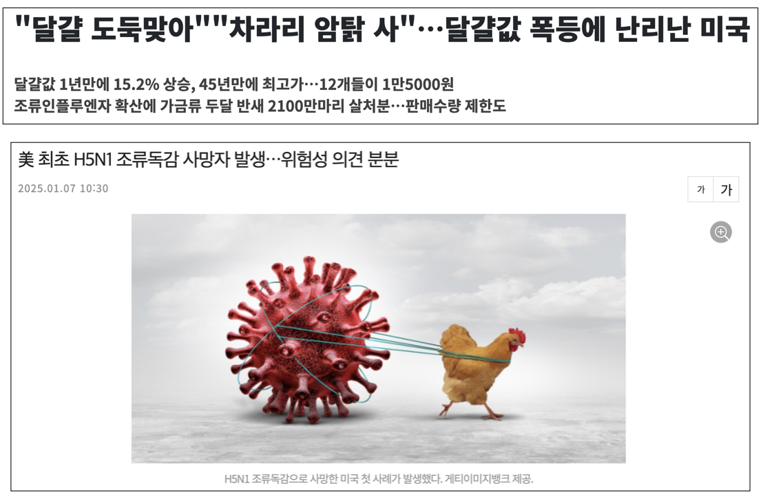 스크린샷 2025-02-17 오전 1.14.45.png