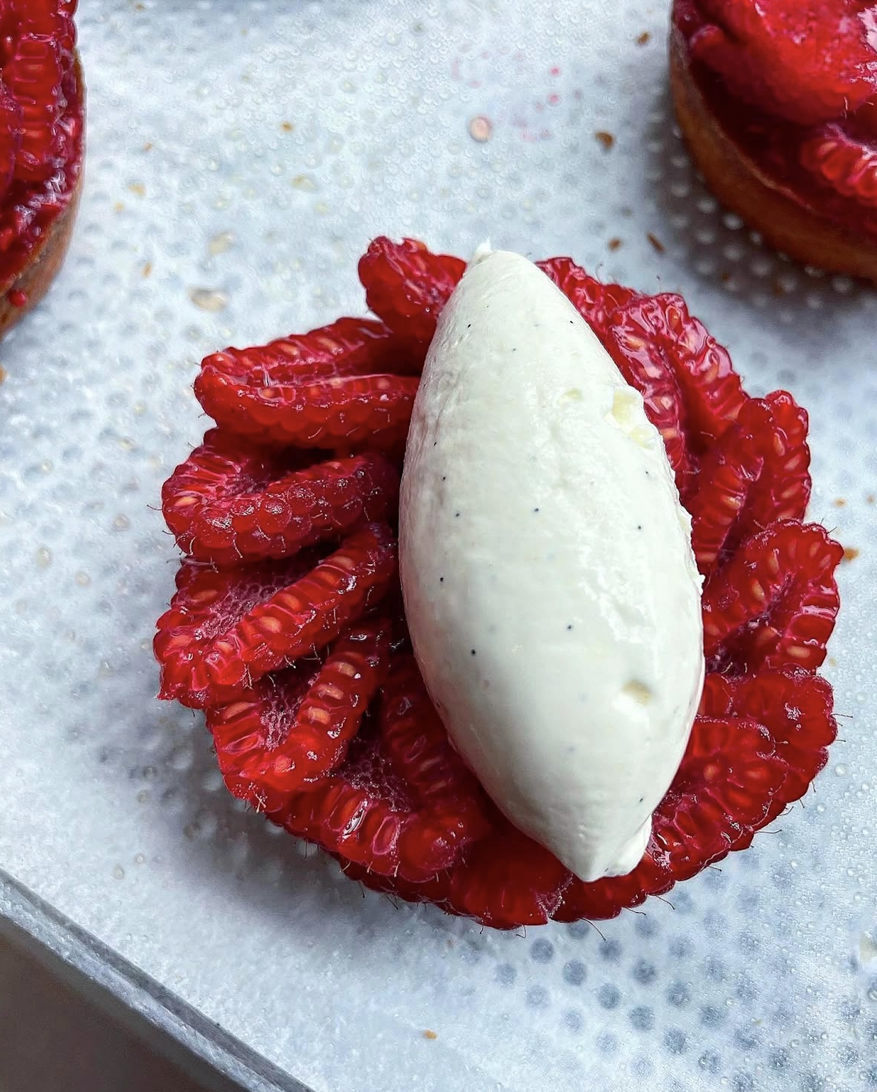 Screen Shot 2025-01-17 at 11.11.19 PM.png