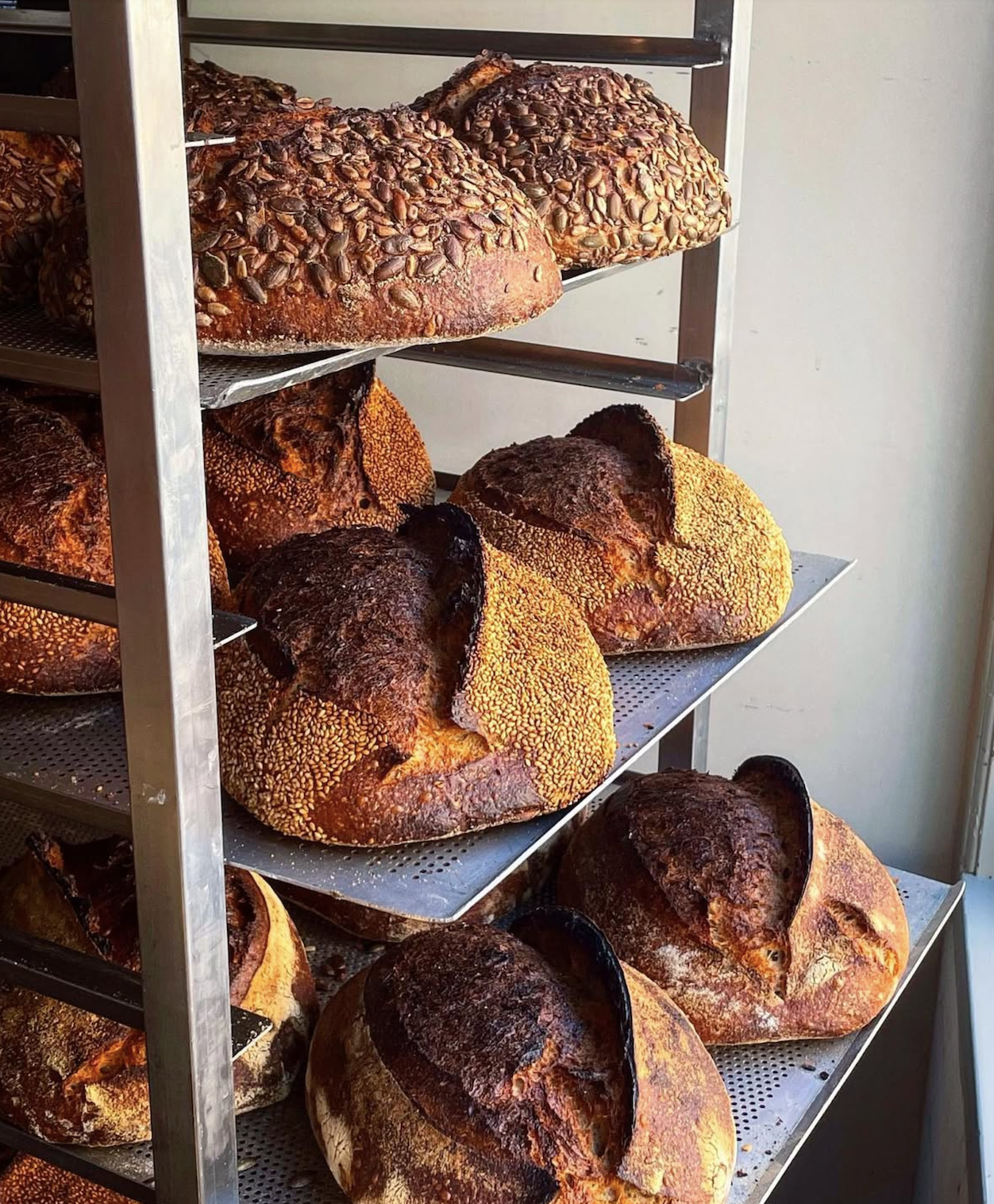 Screen Shot 2025-01-17 at 10.38.57 PM.png