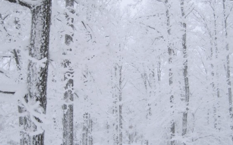 스크린샷 2024-11-30 오후 8.05.32.png