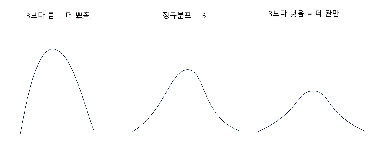 첨도 진짜 최종.png