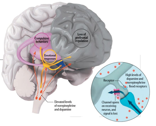스크린샷 2025-07-26 191321.png