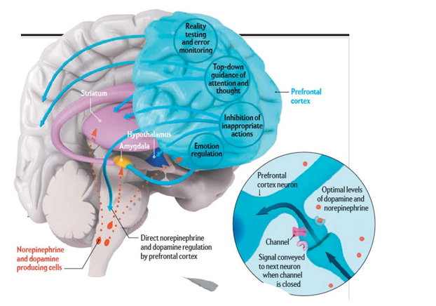 스크린샷 2025-07-26 190906.png