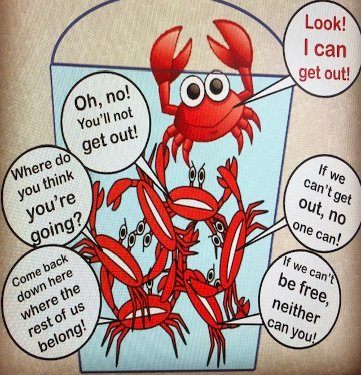 Crab-Mentality-A-Teaching-Example-for-BrainWise.png